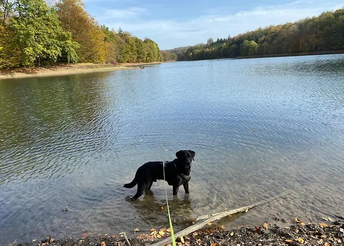 Schoene Mit Ausblick In Apartamento *
